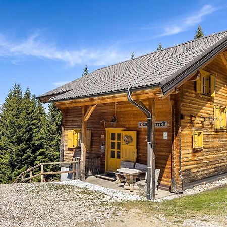 1A Chalet Enzianhuette - Ski Fahren Und Indoor Sauna Villa Elsenbrunn Ngoại thất bức ảnh