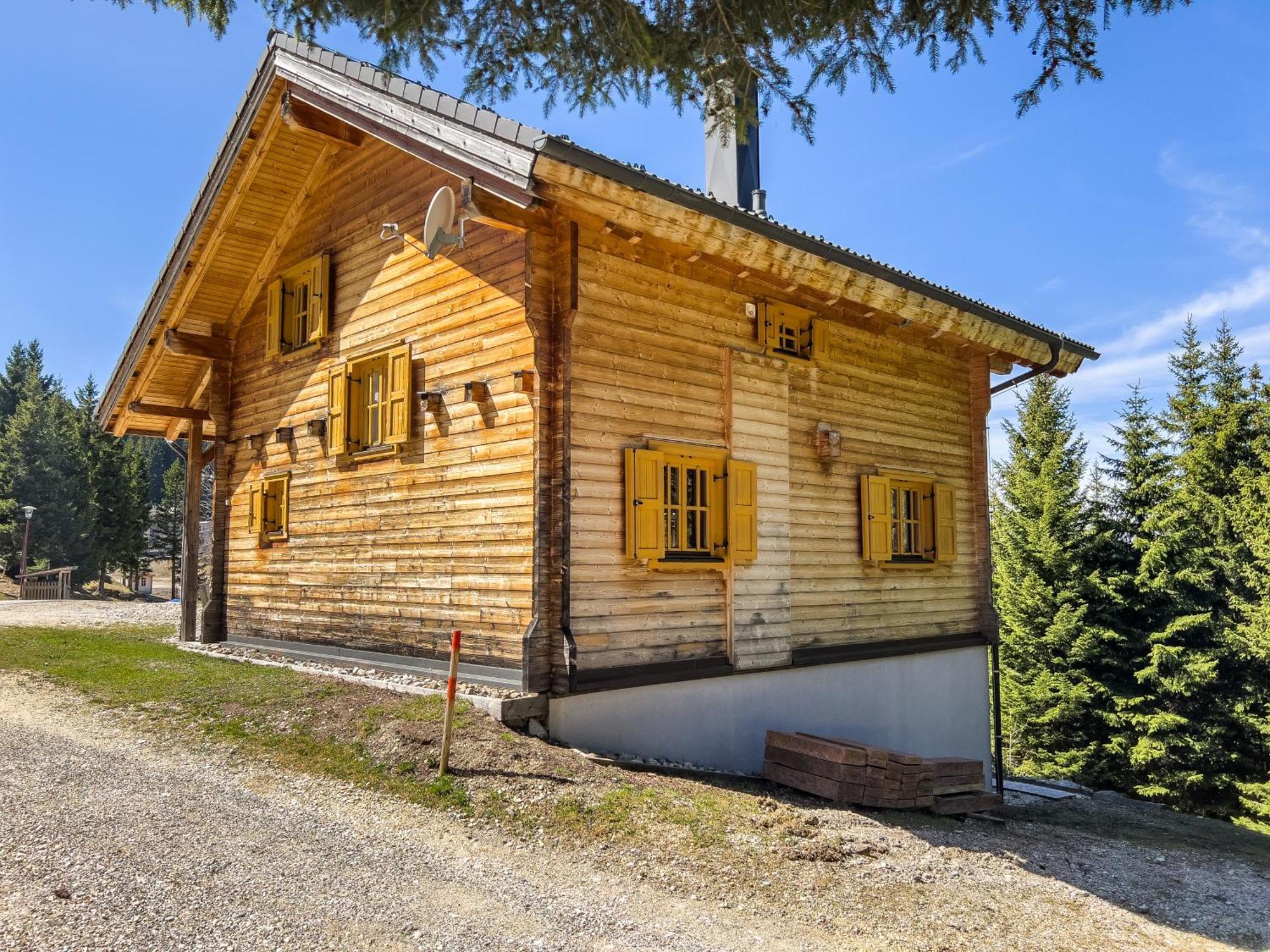 1A Chalet Enzianhuette - Ski Fahren Und Indoor Sauna Villa Elsenbrunn Ngoại thất bức ảnh