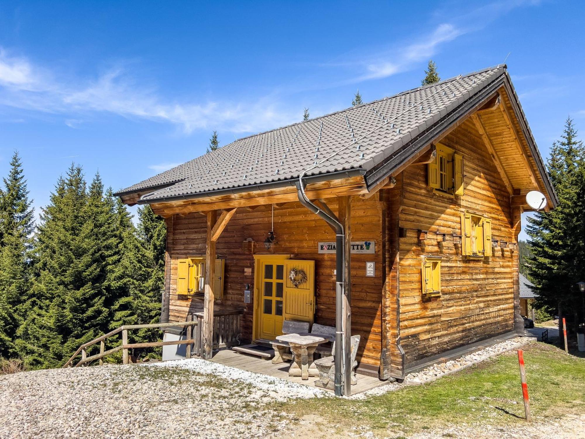 1A Chalet Enzianhuette - Ski Fahren Und Indoor Sauna Villa Elsenbrunn Ngoại thất bức ảnh