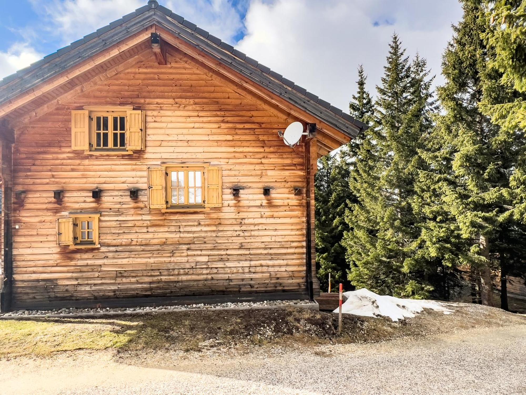 1A Chalet Enzianhuette - Ski Fahren Und Indoor Sauna Villa Elsenbrunn Ngoại thất bức ảnh