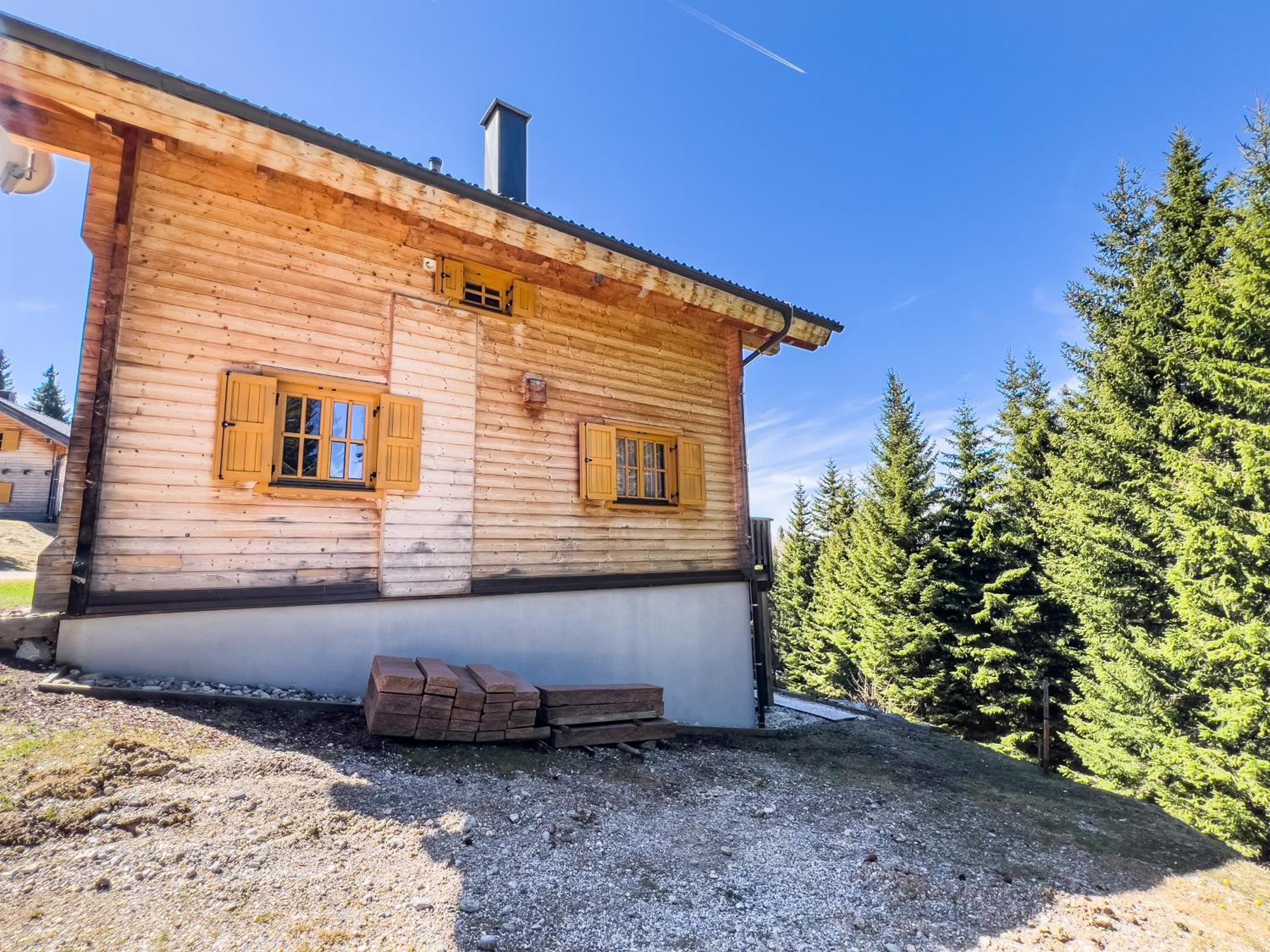 1A Chalet Enzianhuette - Ski Fahren Und Indoor Sauna Villa Elsenbrunn Ngoại thất bức ảnh