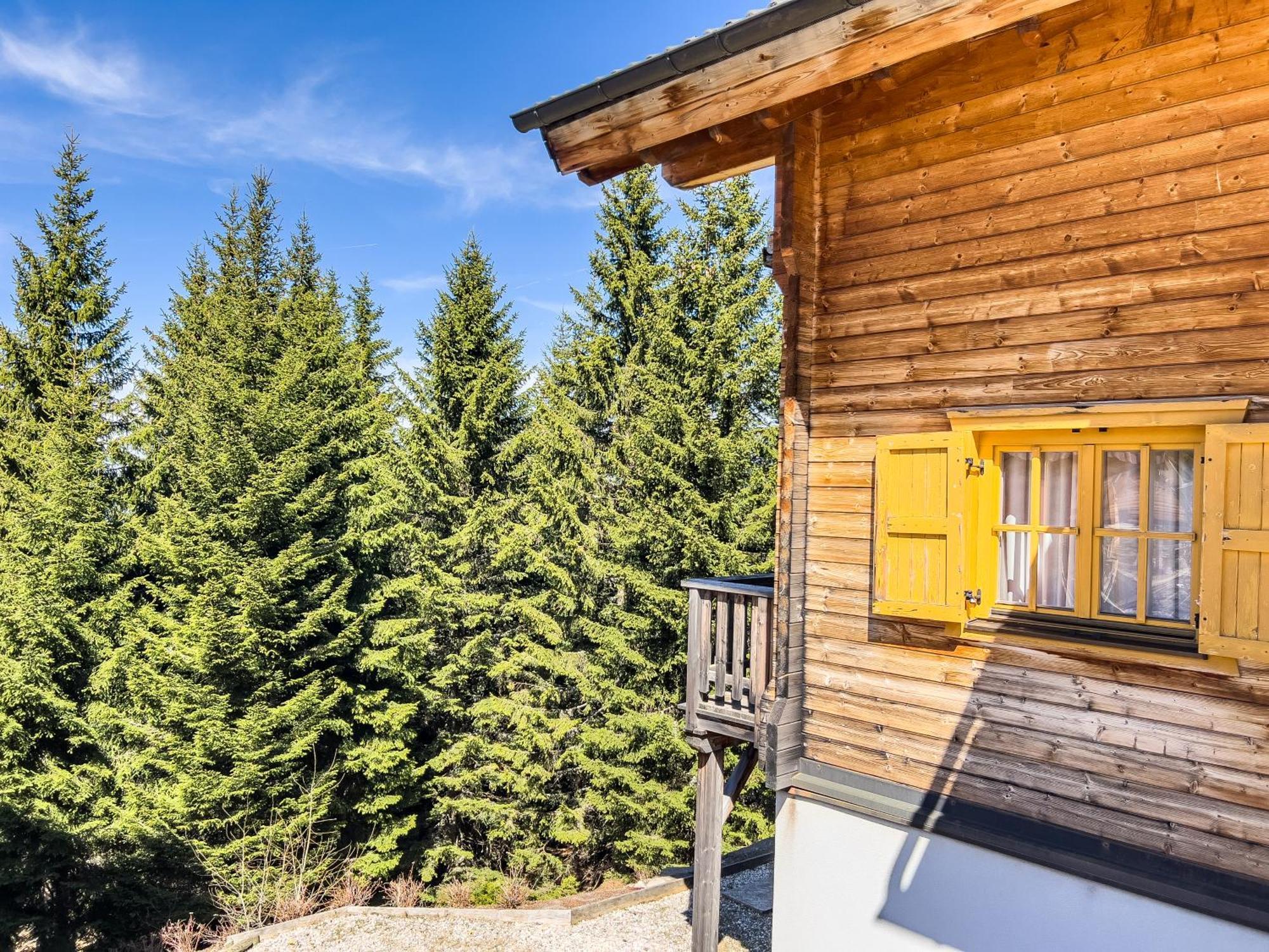 1A Chalet Enzianhuette - Ski Fahren Und Indoor Sauna Villa Elsenbrunn Ngoại thất bức ảnh