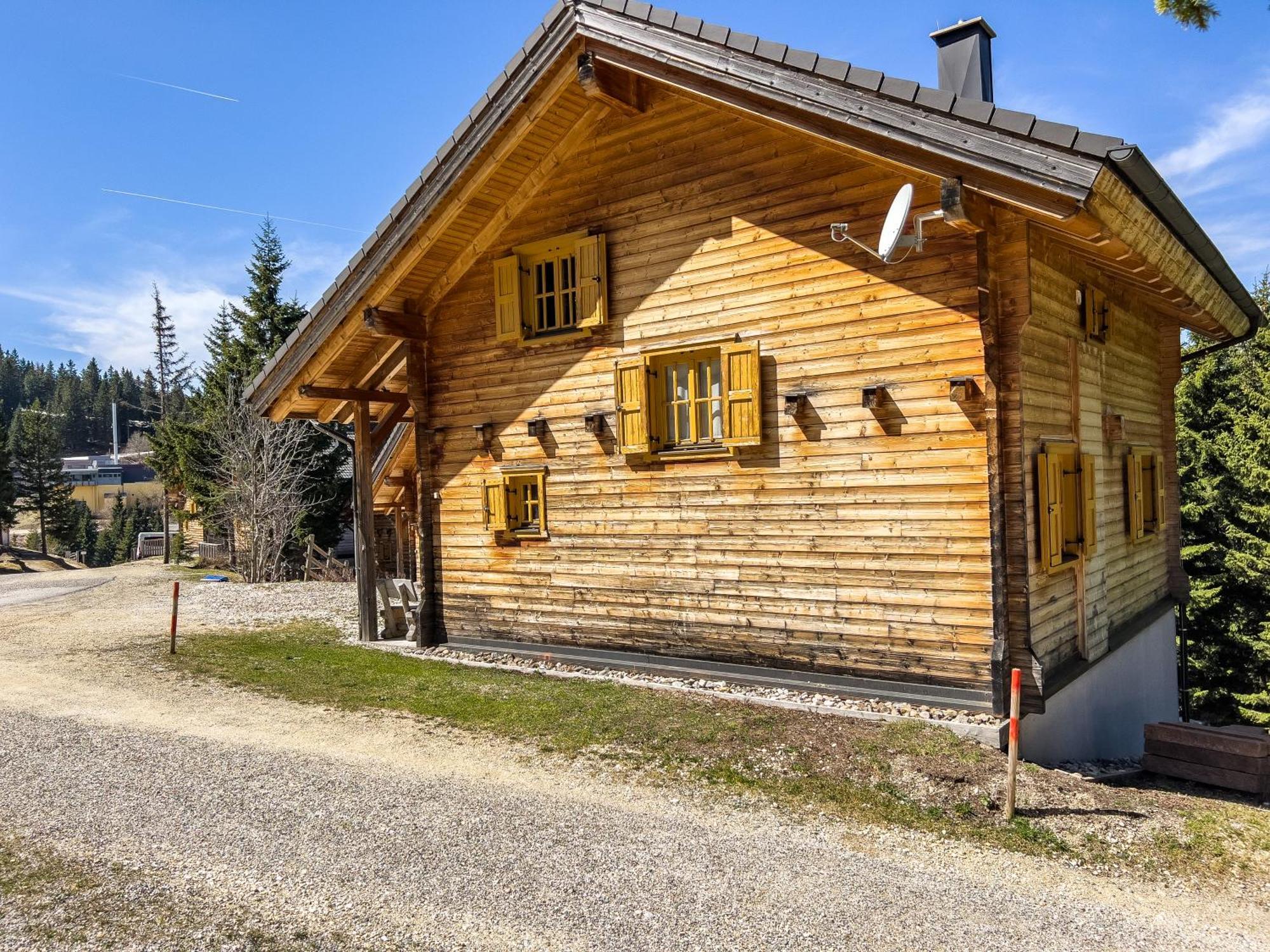 1A Chalet Enzianhuette - Ski Fahren Und Indoor Sauna Villa Elsenbrunn Ngoại thất bức ảnh