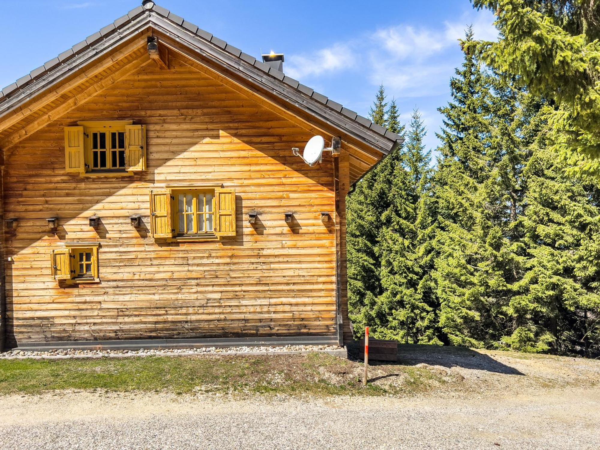 1A Chalet Enzianhuette - Ski Fahren Und Indoor Sauna Villa Elsenbrunn Ngoại thất bức ảnh