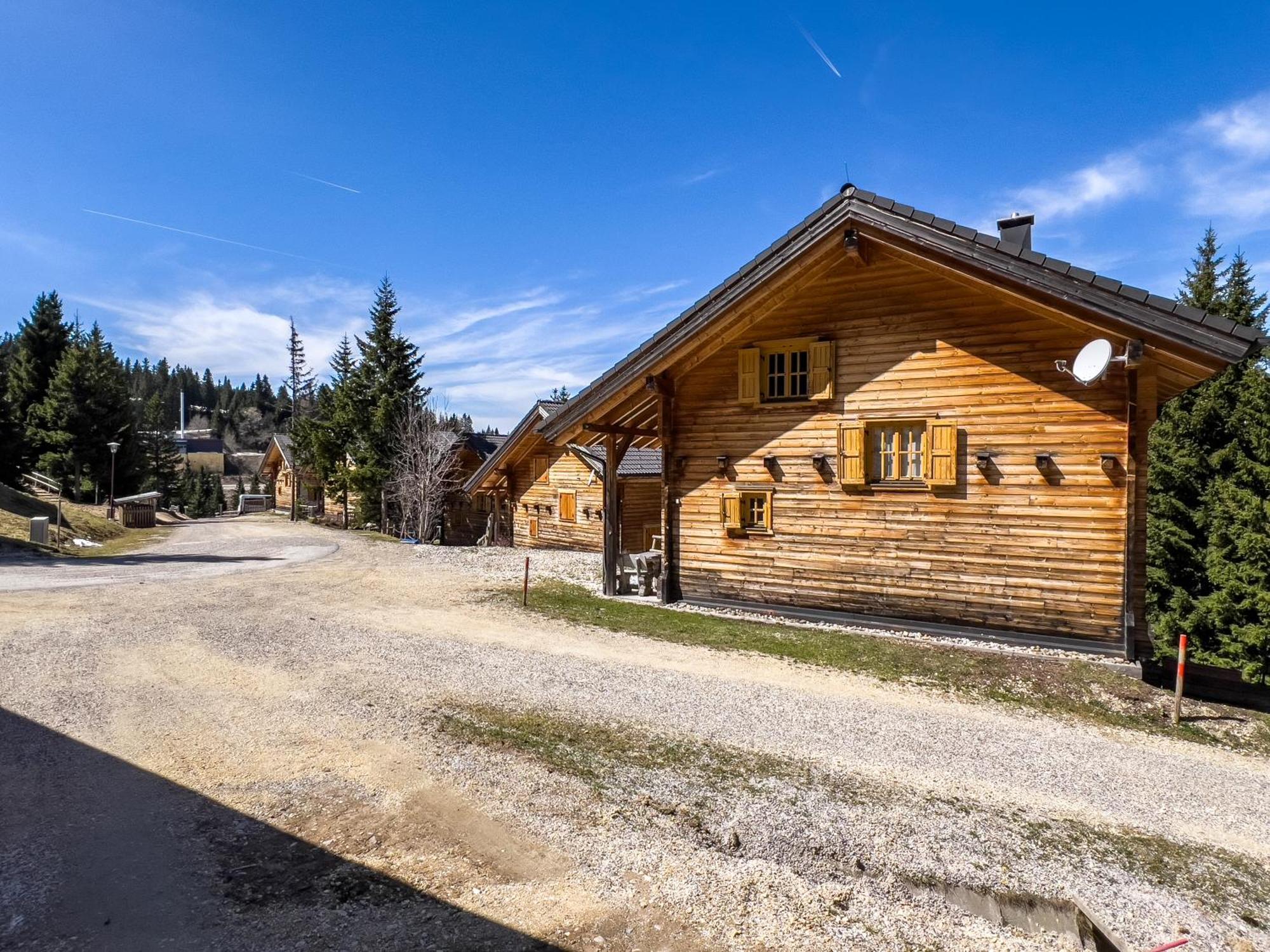 1A Chalet Enzianhuette - Ski Fahren Und Indoor Sauna Villa Elsenbrunn Ngoại thất bức ảnh