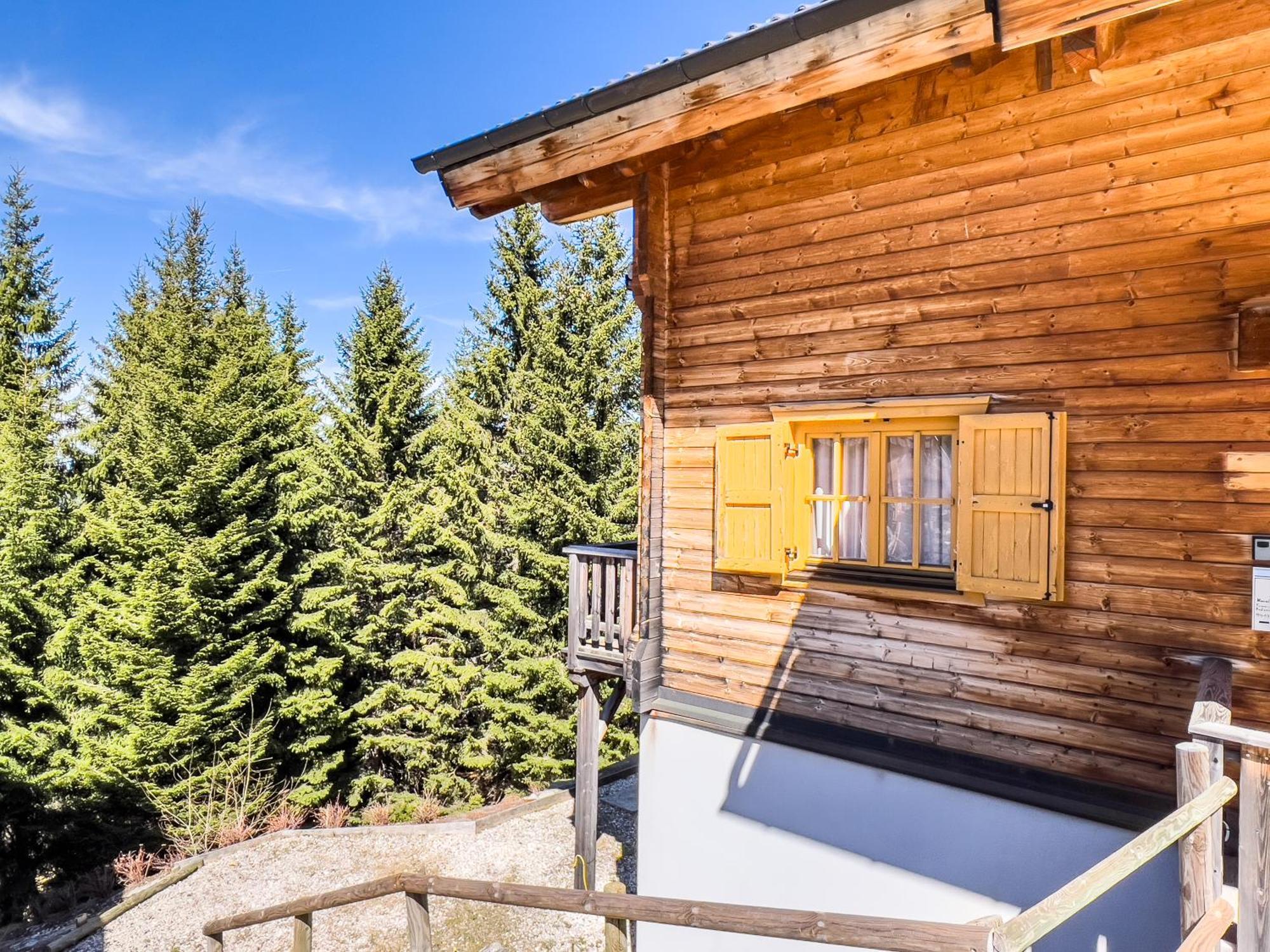 1A Chalet Enzianhuette - Ski Fahren Und Indoor Sauna Villa Elsenbrunn Ngoại thất bức ảnh