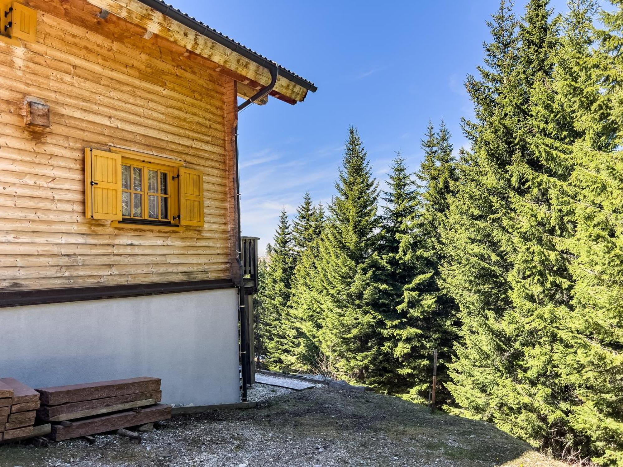 1A Chalet Enzianhuette - Ski Fahren Und Indoor Sauna Villa Elsenbrunn Ngoại thất bức ảnh