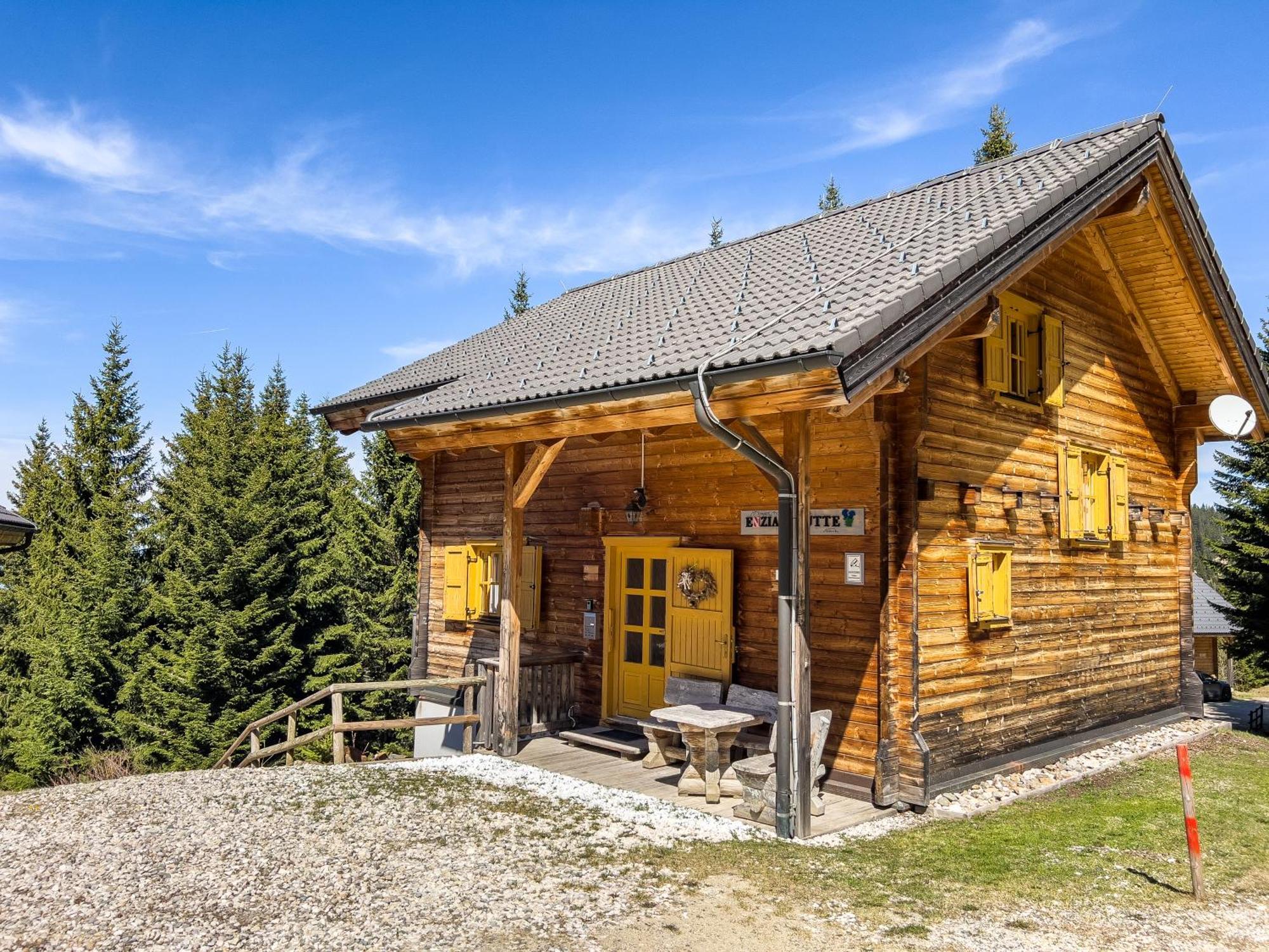 1A Chalet Enzianhuette - Ski Fahren Und Indoor Sauna Villa Elsenbrunn Ngoại thất bức ảnh